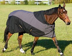 Tuffrider 1200D Stretch Manager Plus Horse Turnout Blanket
