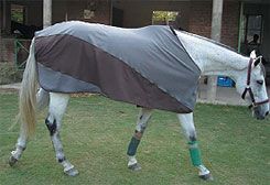 TuffRider Stretch Cotton Horse Stable Sheet Best Price