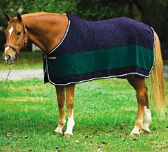 Fancy Padded Rolled Throat Triple Stiched Halter