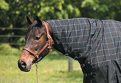 TuffRider 1680D Thermolined Turnout Horse Blanket with Integrated Neck