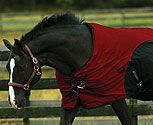 TuffRider 600D Stretch Manager Thermolined Turnout Horse Blanket