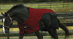 TuffRider 600D Stretch Manager Thermolined Turnout Horse Blanket