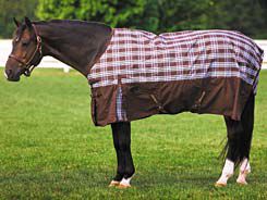 Tuffrider 600D Plaid Lightweight Turnout Pony Blanket