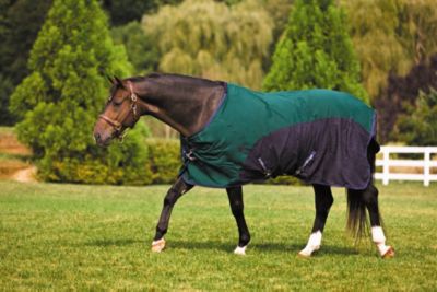 TuffRider 600D Stretch Manager Pony Turnout Sheet