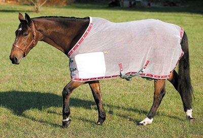 Equine Couture Ribbon Horse Fly Sheet
