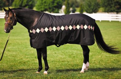 Equine Couture Newport Horse Light Weight Turnout Blanket