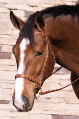 Henri de Rivel Fancy Pro Collection Fancy Raised Padded Bridle