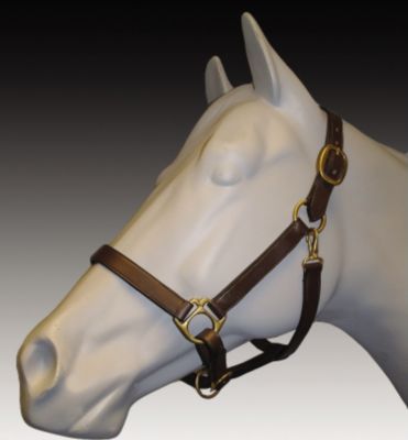 Henri De Rivel Advantage Leather Halter Best Price