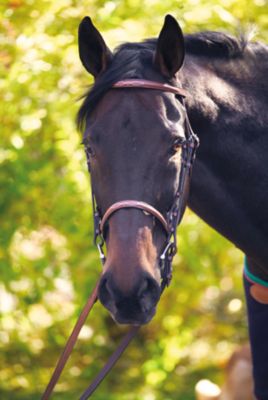 Henri De Rivel Club Fancy Raised Snaffle Bridle