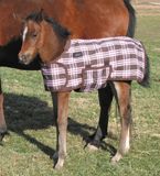 Tuffrider Thermo Manager Lined Foal Blanket