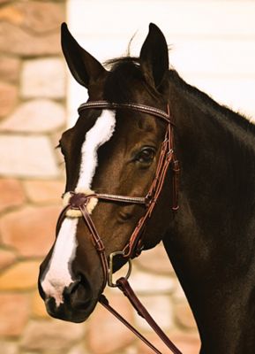 Henri De Rivel Silver Clincher Figure 8 Bridle
