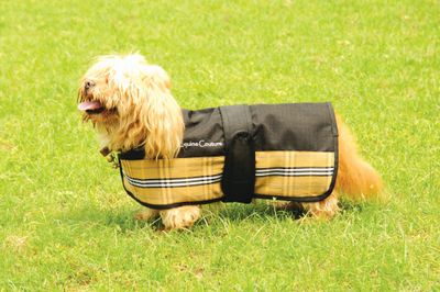 Equine Couture Bristol Dog Blanket Best Price