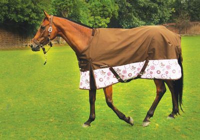 Equine Couture Ashley Turnout Horse Sheet Best Price