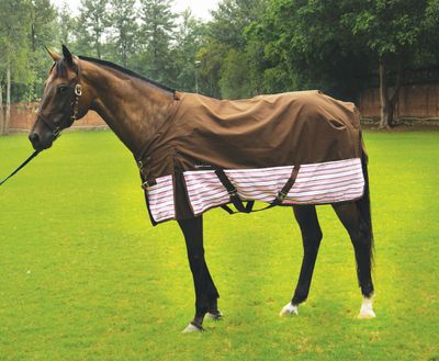Equine Couture Madison Turnout Horse Sheet Best Price