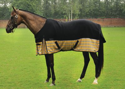 Equine Couture Bristol Thermo Manager Horse Stable Sheet Best Price