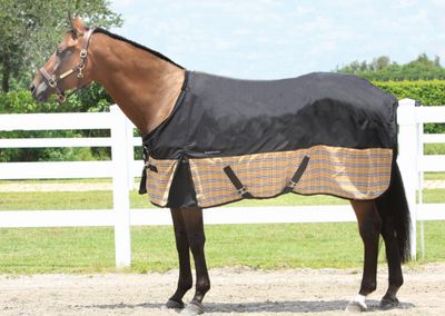 Equine Couture  Bristol Lightweight Turnout Horse Blanket Best Price