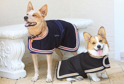 Equine Couture Regatta Unifleece Dog Blanket Best Price