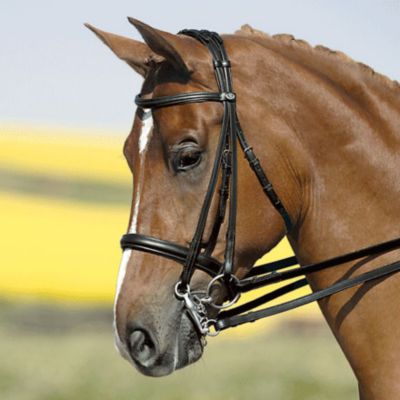 Kieffer Ines Double Bridle with Chome Fittings Best Price