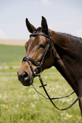 Kieffer Suleika Snaffle Bridle with Flash