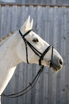 Kieffer Madonna Snaffle Bridle with Crank Noseband