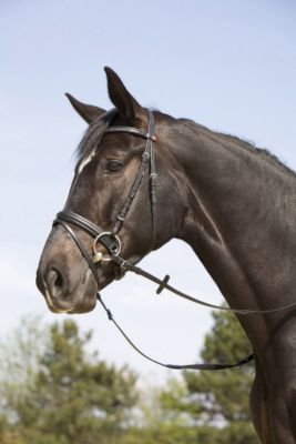 Kieffer Ergonomic Snaffle Bridle with Flash