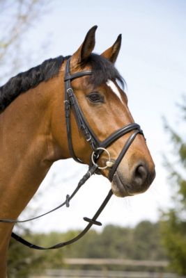 Kieffer Dagmar Soft Snaffle Bridle with Flash