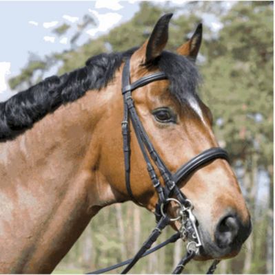 Kieffer Carolina Double Bridle Best Price
