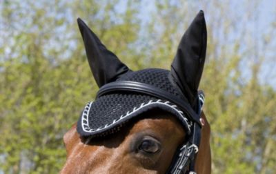 Kieffer Exclusive Ear Net Best Price