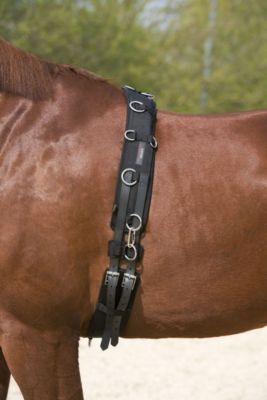 Kieffer Nylon Lunge Surcingle Best Price