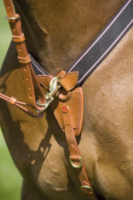 Kieffer Arlene Elastic Breastsplate with Martingale Best Price