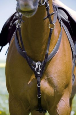 Kieffer Jessica SECU Breastplate with Martingale Best Price
