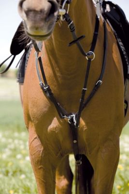 Kieffer Leather Breastplate with Martingale Best Price