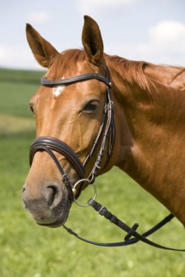Kieffer Andromeda Snaffle Bridle with Flash Noseband Best Price