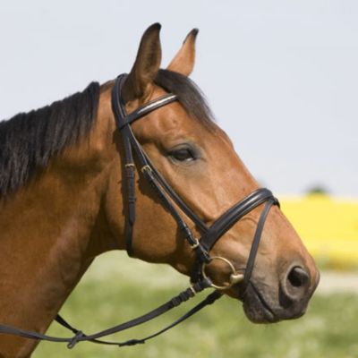 Kieffer Grand Prix Double Bridle Best Price