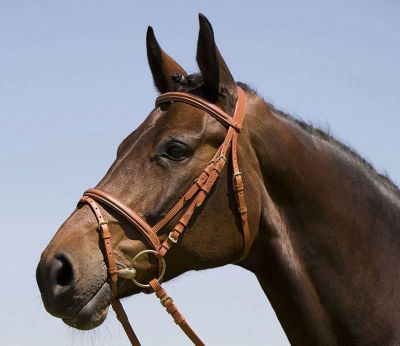 Kieffer Arlene Snaffle Bridle with Flash Noseband Best Price