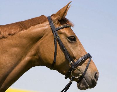 Kieffer Anastasia Snaffle Bridle with Flash Noseband Best Price