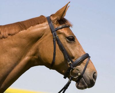 Kieffer Anastasia Snaffle Bridle with Crank Best Price