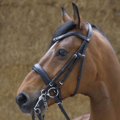 Kieffer Steffen Peters Double Bridle Best Price