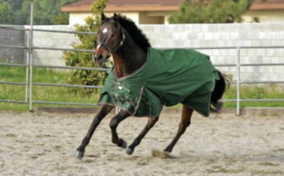 Kensington Ultra Lightweight Turnout Rainsheet