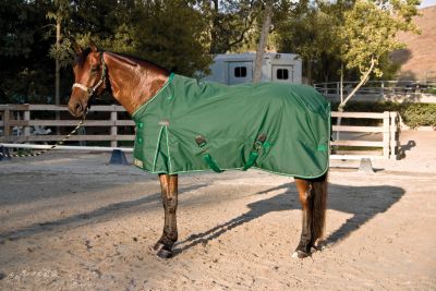 Kensington Roustabout Euro Cut Medium Weight Turnout Horse Blanket Best Price
