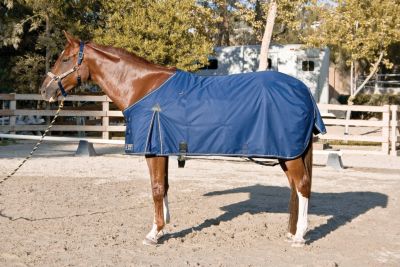 Kensington Roustabout Midweight Horse Turnout Blanket