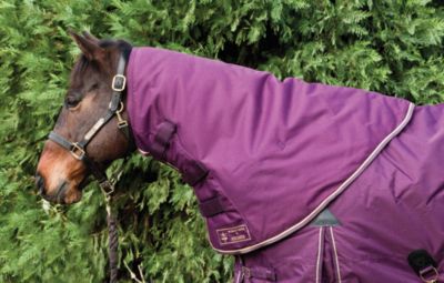Kensington Roustabout Standard Neck Cover Best Price