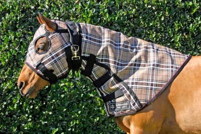 Kensington Heavyweight Supermesh Full Hood Best Price