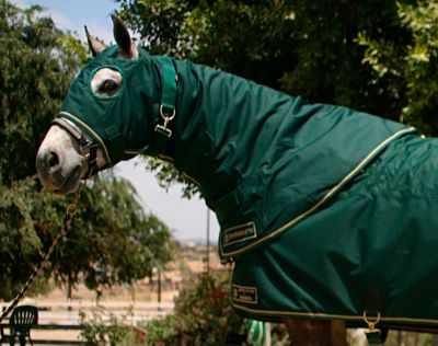 Kensington Roustabout Lightweight Full Hood Best Price