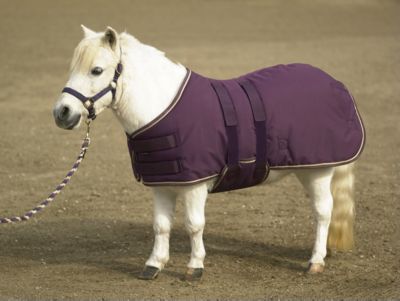 Kensington Miniature Horse Midweight Turnout Blanket Best Price
