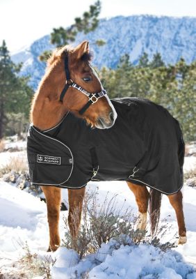 Kensington Pony/Yearling Turnout Blanket Best Price