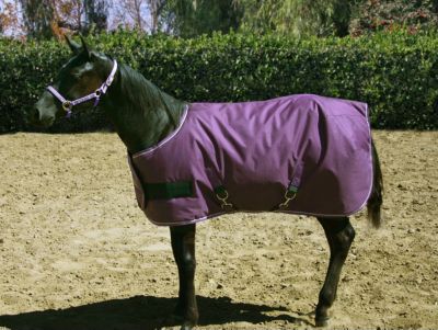 Kensington Yearling and Pony Midweight Turnout Blanket Best Price