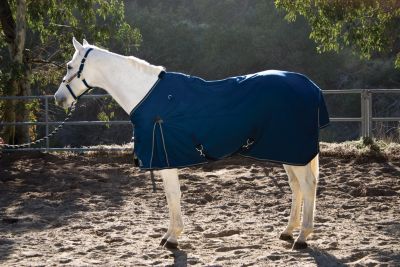 Kensington Egyptian European Cut Cotton Show Sheet