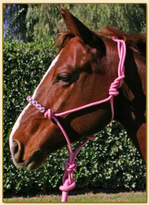 Kensington Rope Halter Set