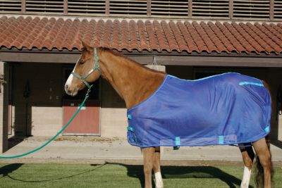Kensington PolyMax Fly Sheet<font color=#000080>-  Size:  74  Color:  Plum Ice</font> Best Price